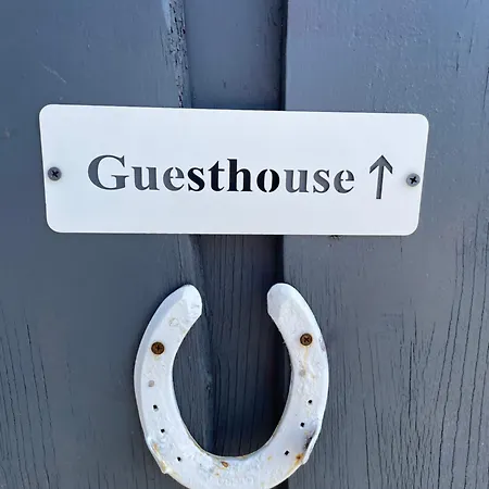 Horseshoe *
